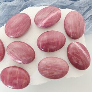 RARE Pink Petrified Wood Palm Stone